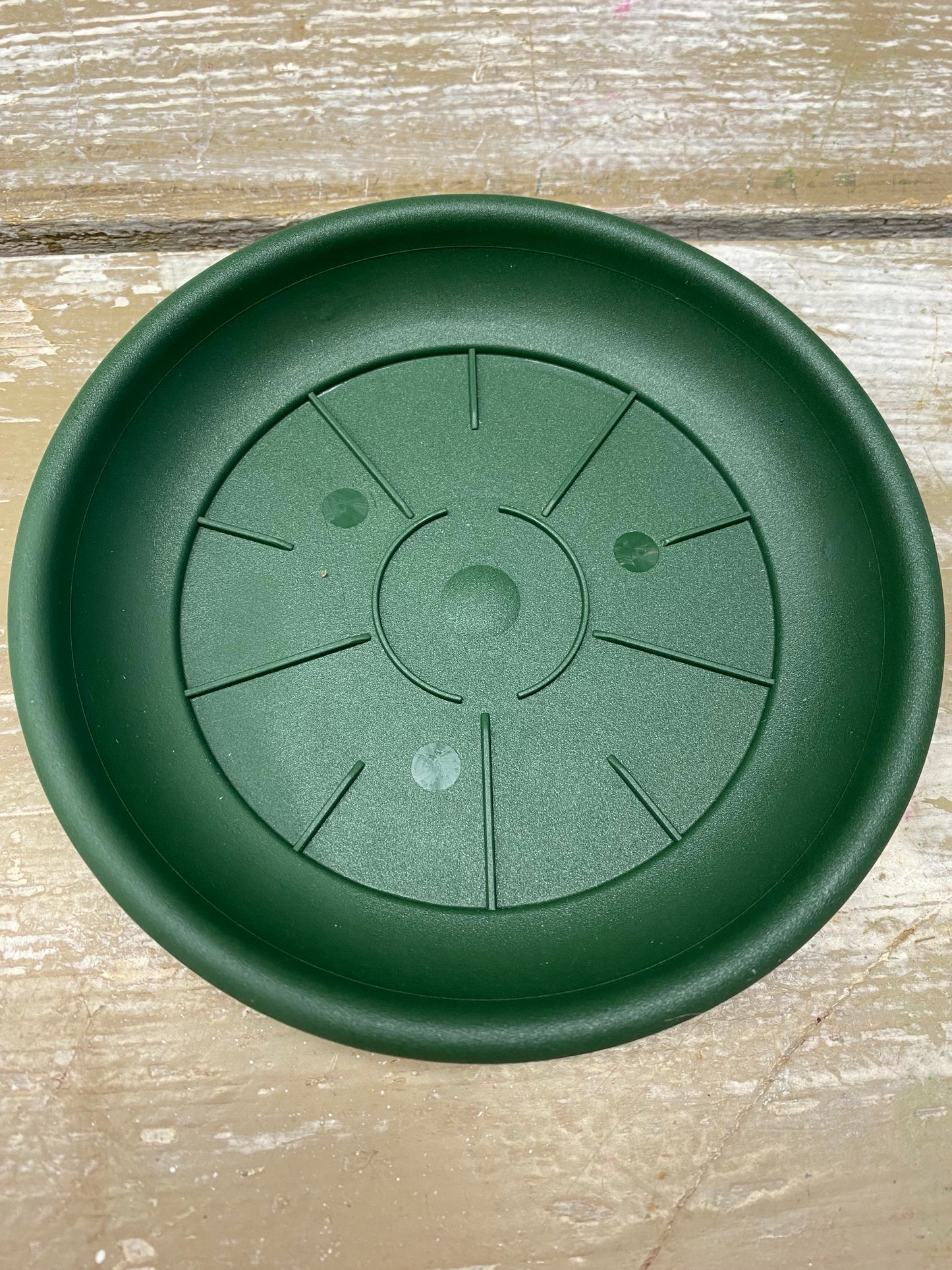 water schotel rond, groen, D14cm, per stuk