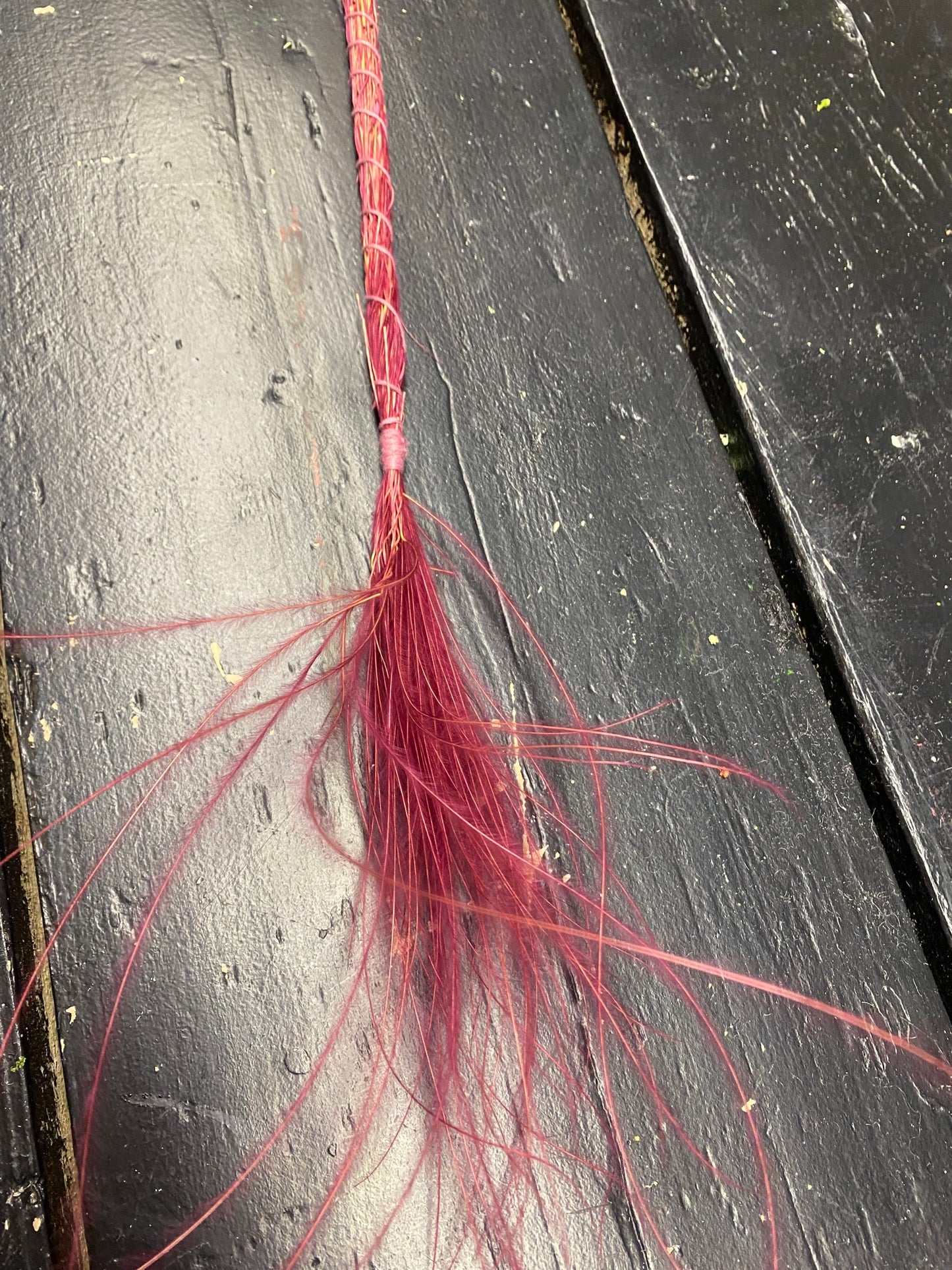 Stypha Bordeaux rood geverfd, per bundel van ±15 steeltjes
