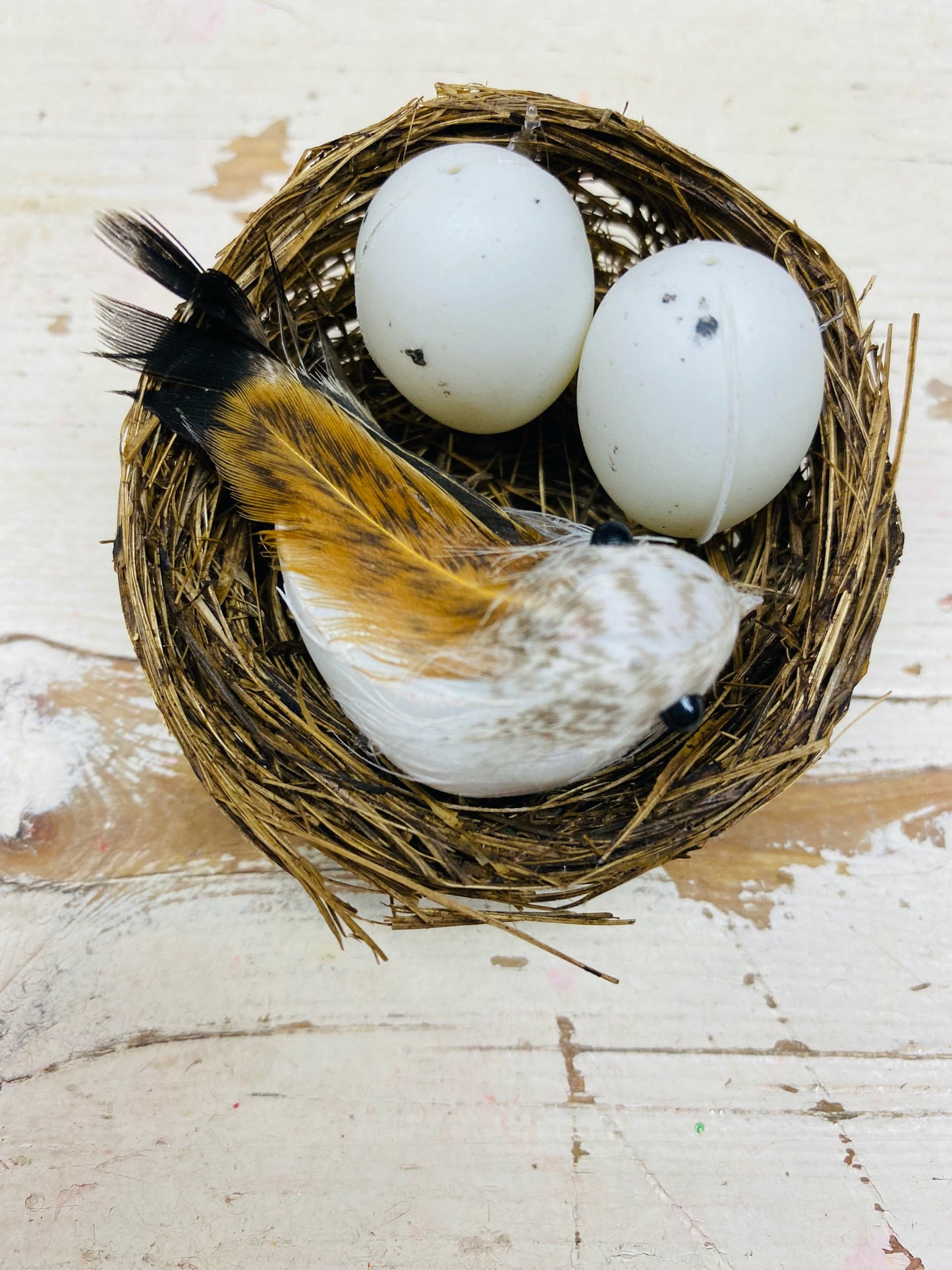 vogel nest, met 2 eitjes en 1 vogeltje, D5cm,