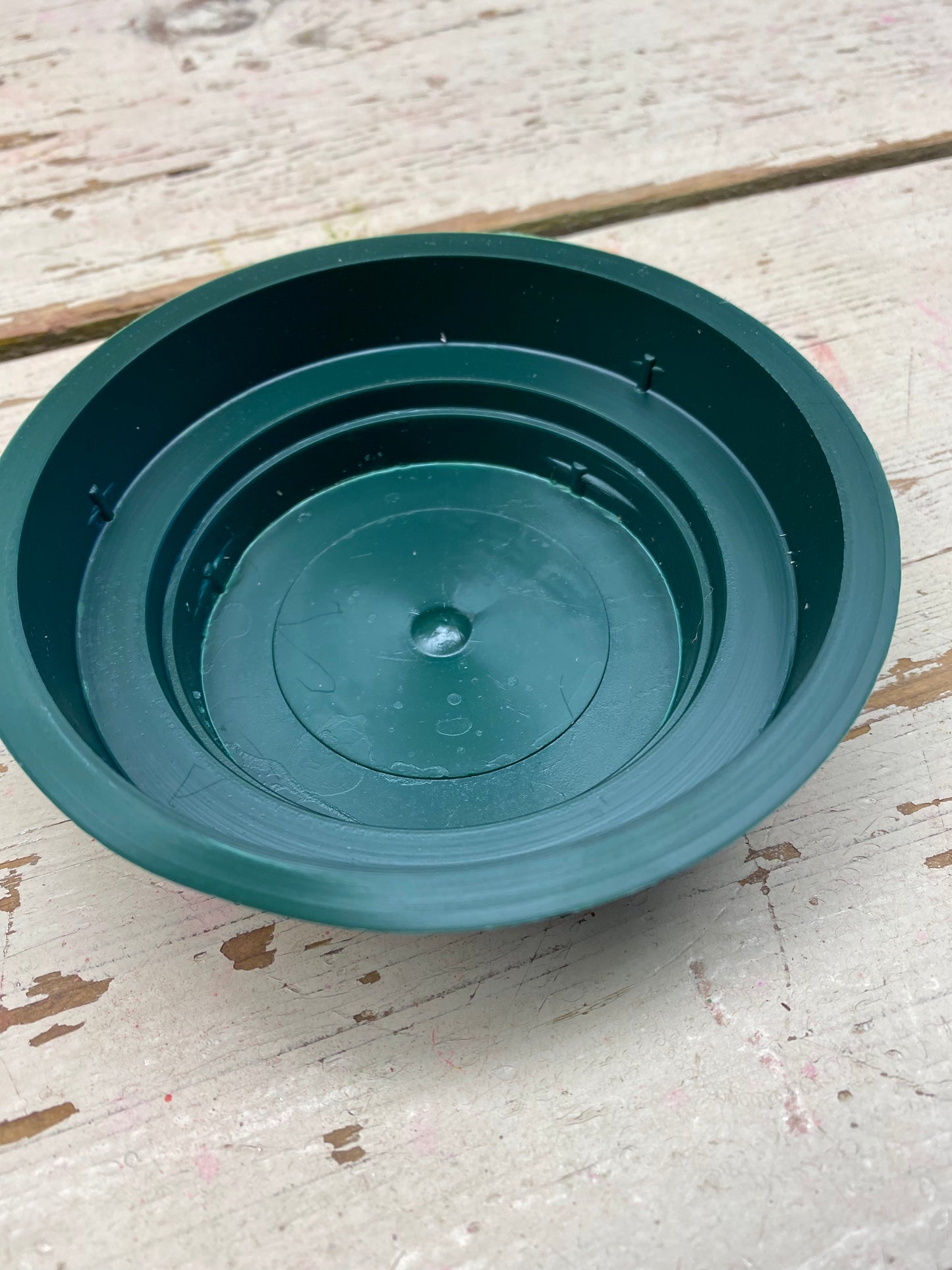 Junior water schaal rond, D10cm, groen, per stuk