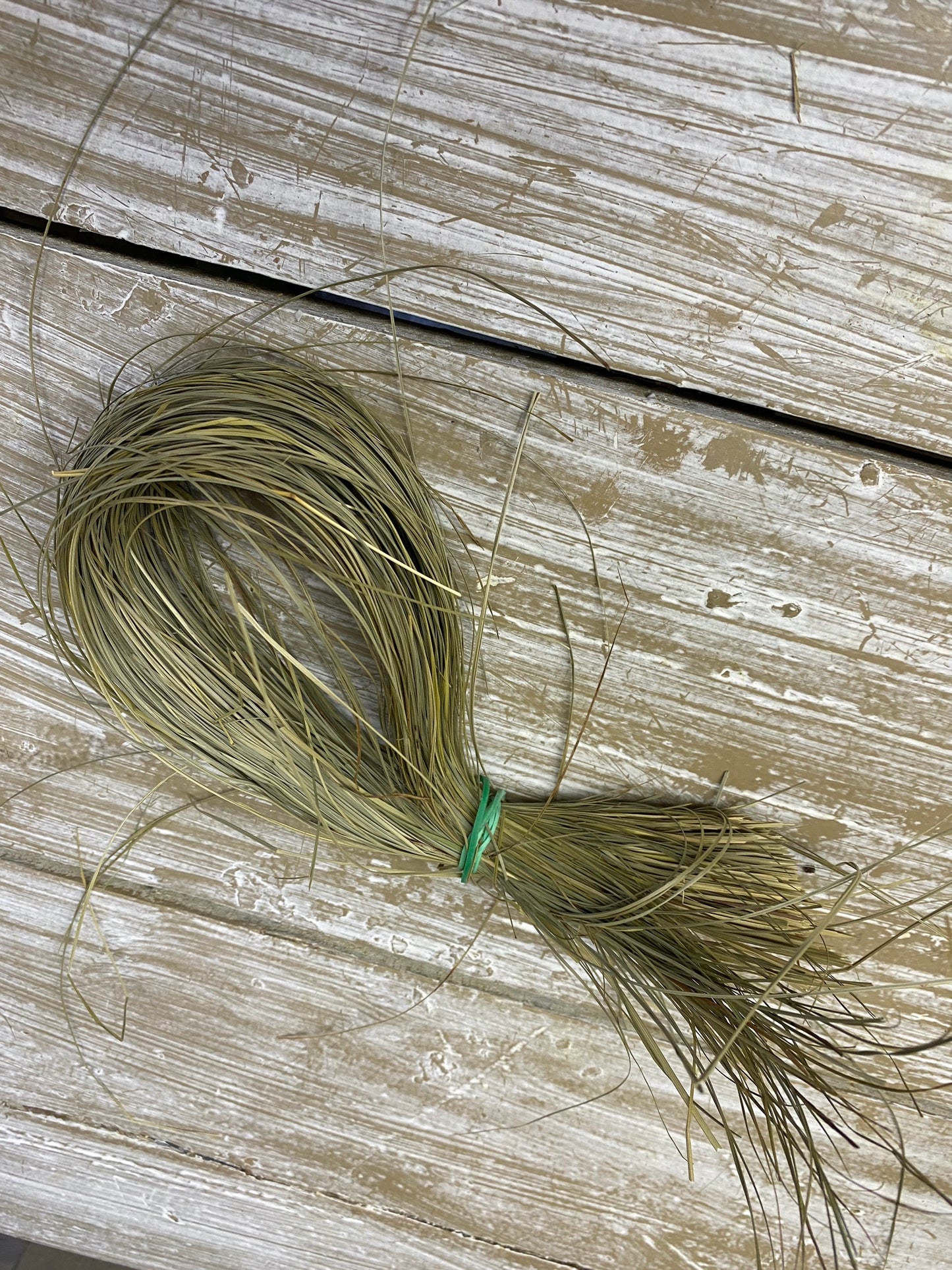 Zee gras, pluk, naturel