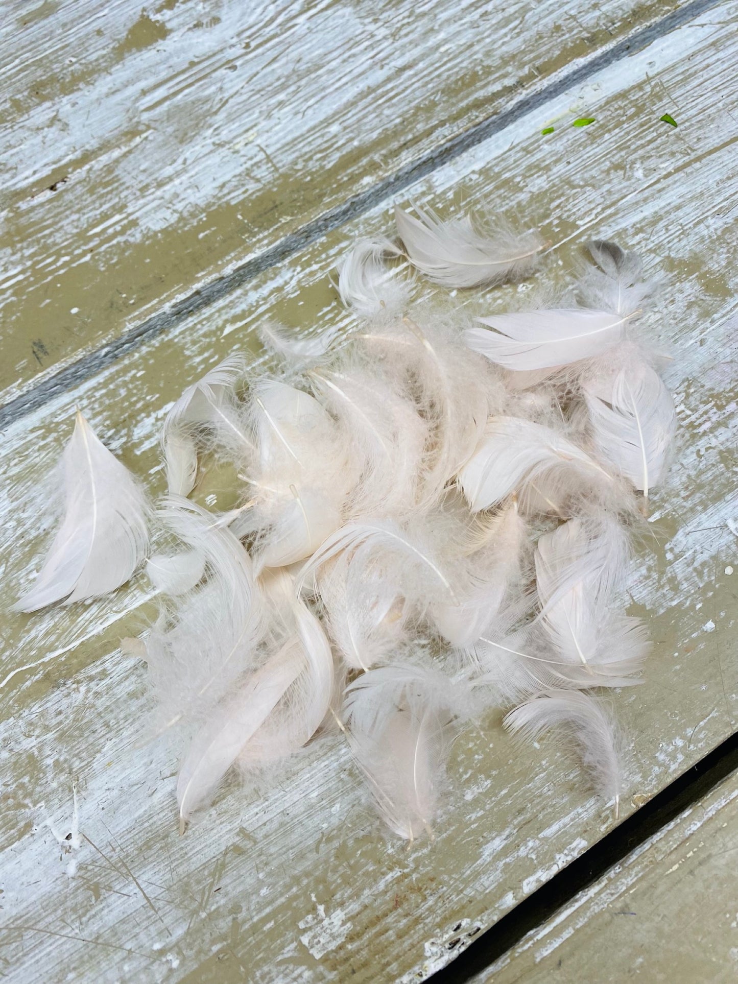 Veren, zalm roze, 1gram