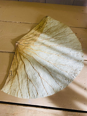 Lotus bladeren, gedroogd, per dubbel blad