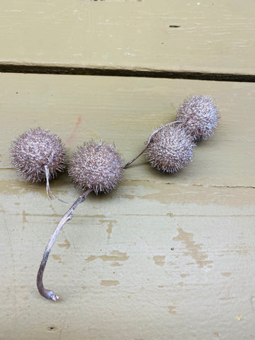 Platanus bol, plataan vrucht, glimmend Champagne kleur, per steel (3 tot 4 bollen)