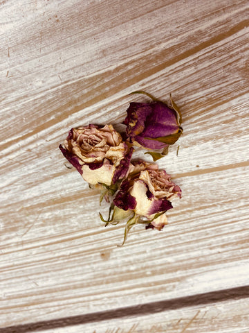 Trosroos, Flinders lane, droogbloem, per 3 bloemen