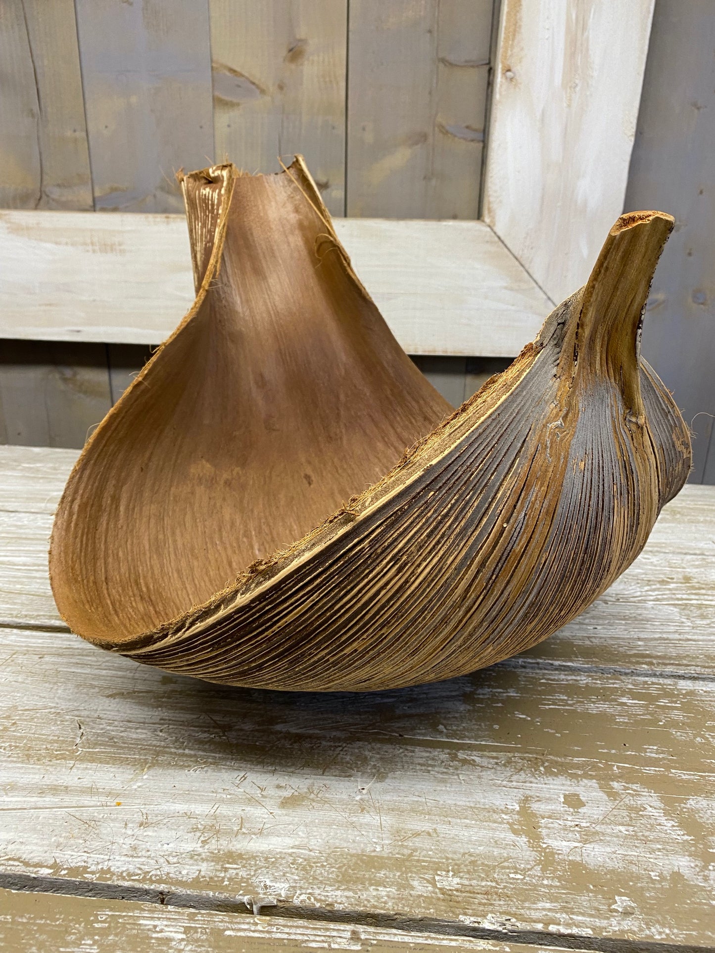 Galara blad, groot, naturel, ±H33cm Br39cm