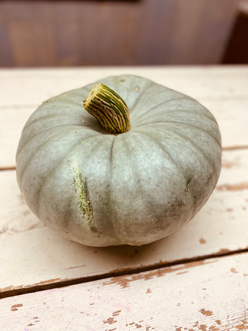 Pompoen, groot, grijs/blauw/groen, 8,5 kilo, per stuk