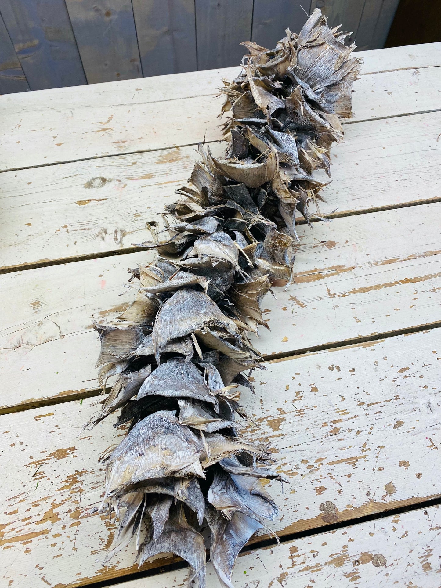 Agave Garland / Guirlande, whitewash