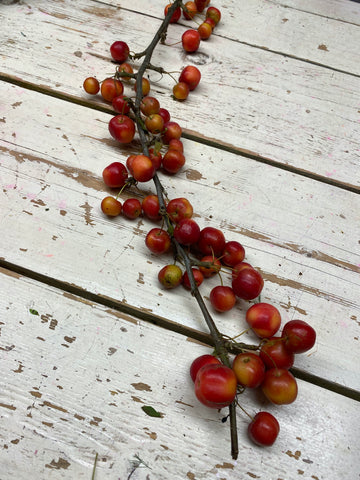 Appeltjes, malus tak, rood naturel, per steel