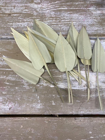 Palm pijlen, naturel, gedroogd, per 15 stuks