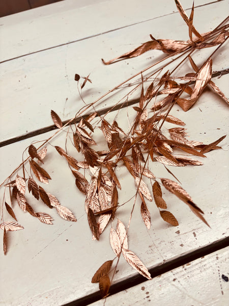 Chasmantium, plat gras steel, per 5stuks, koperkleurig