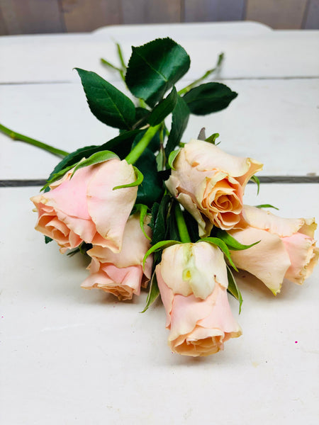 Roos, zalm roze, per 5stuks