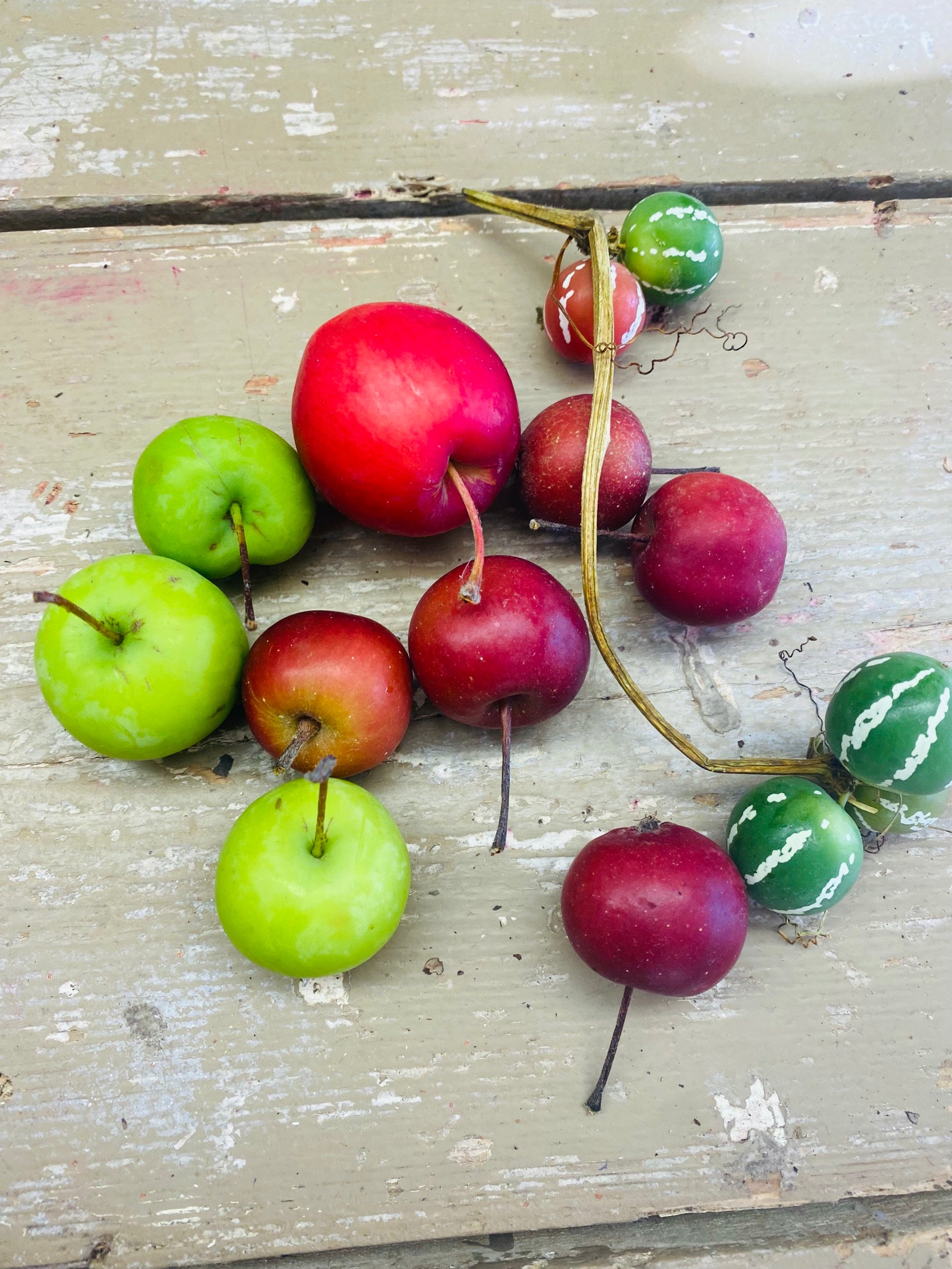 Mix van 9 kleine appeltjes en 1 kleine Diplocyclos, malus, rood/groen, per 10 stuks