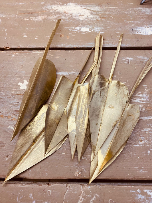 Palm pijlen, goud, gedroogd, per 15 stuks