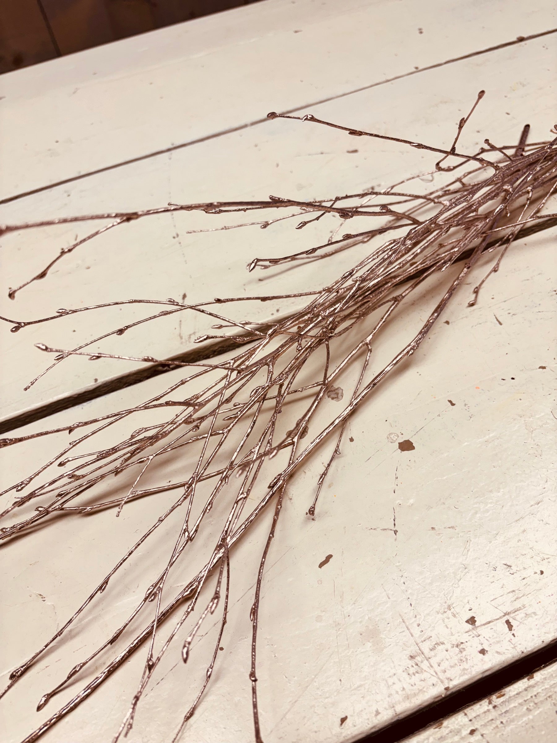 Berken takken, dun, bosje ±5 stelen, champagne kleur