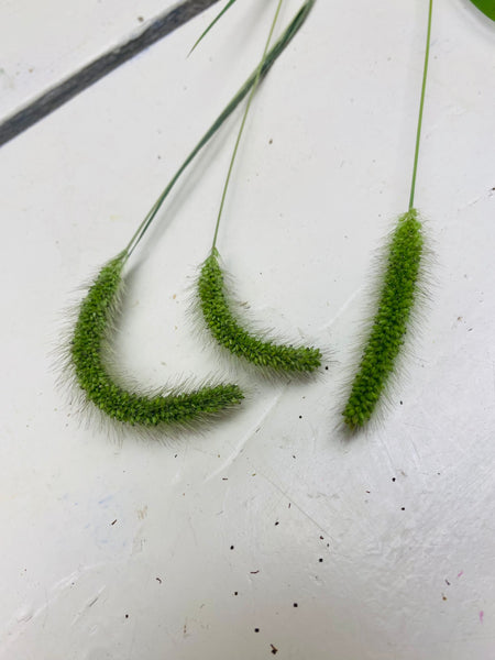 gras pluimen stelen, per 3 stuks