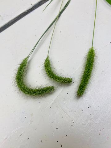 gras pluimen stelen, per 3 stuks