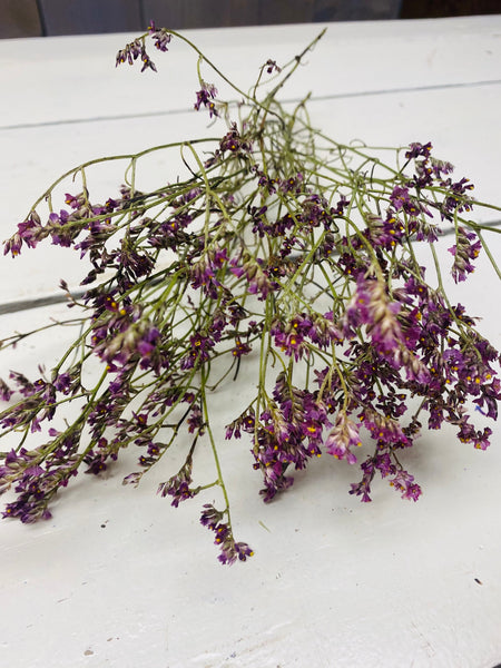 Limonium, fijne structuur, paars, gedroogd, per steel