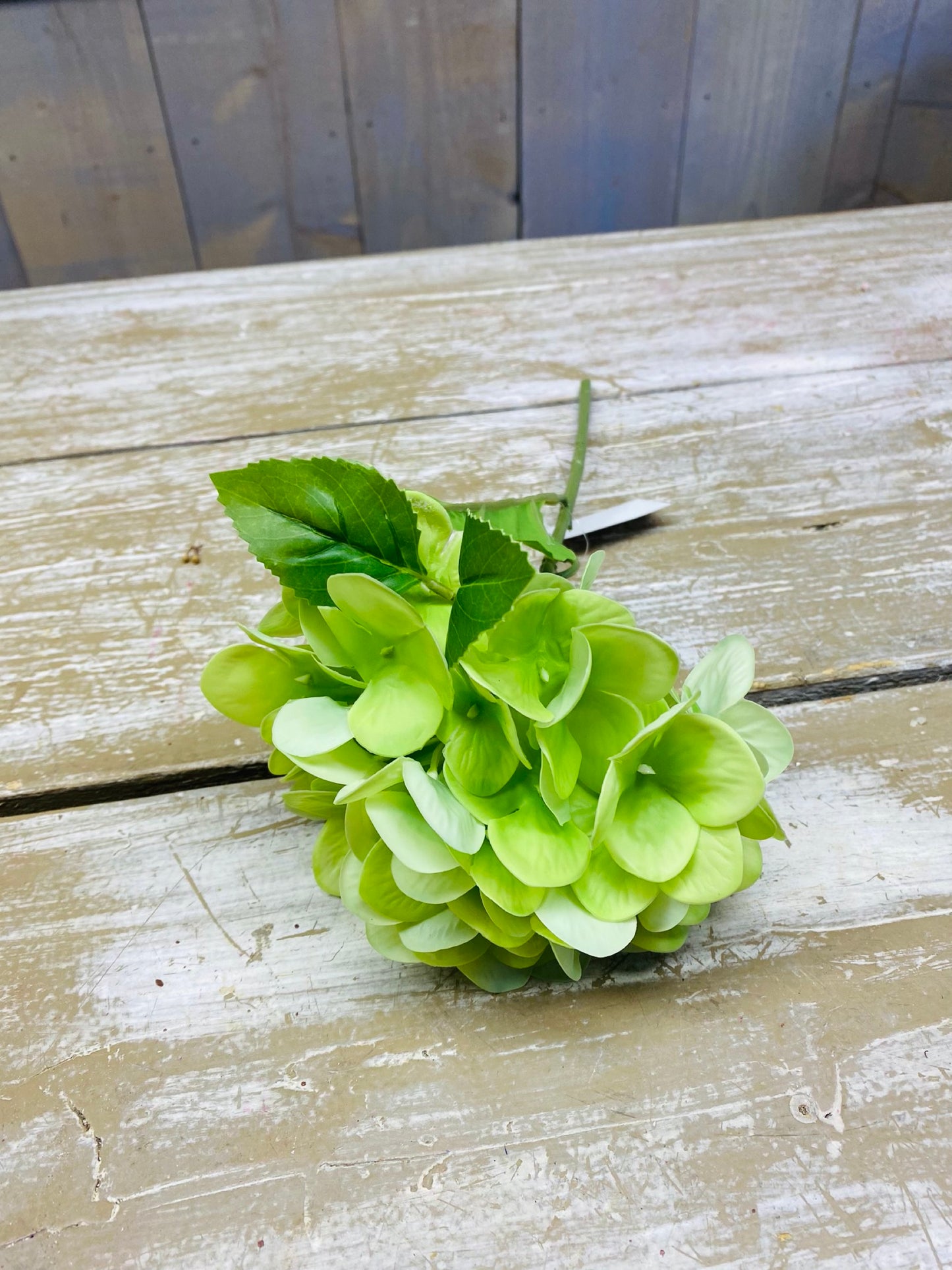 Zijden, kunst, Hortensia Hydrangea, licht groen, per stuk