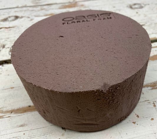 Schijf / taart, bio Oasis steekschuim D14cm, per stuk