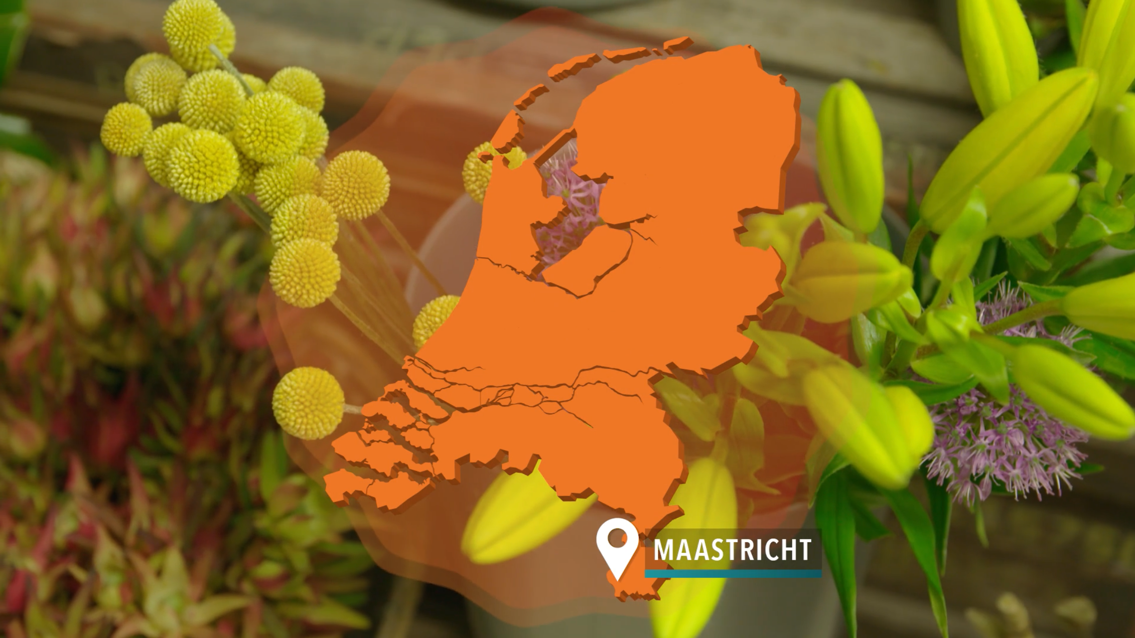 Video laden: Ook jij kunt mooi bloemstukken of bloemwerk maken!