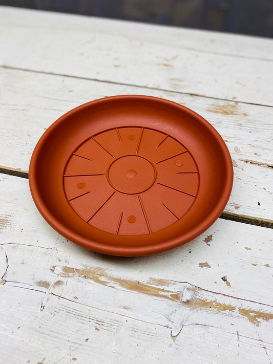 water schotel, terracotta, D22cm , per stuk