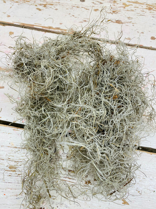Tillandsia, gedroogd, per 25 gram