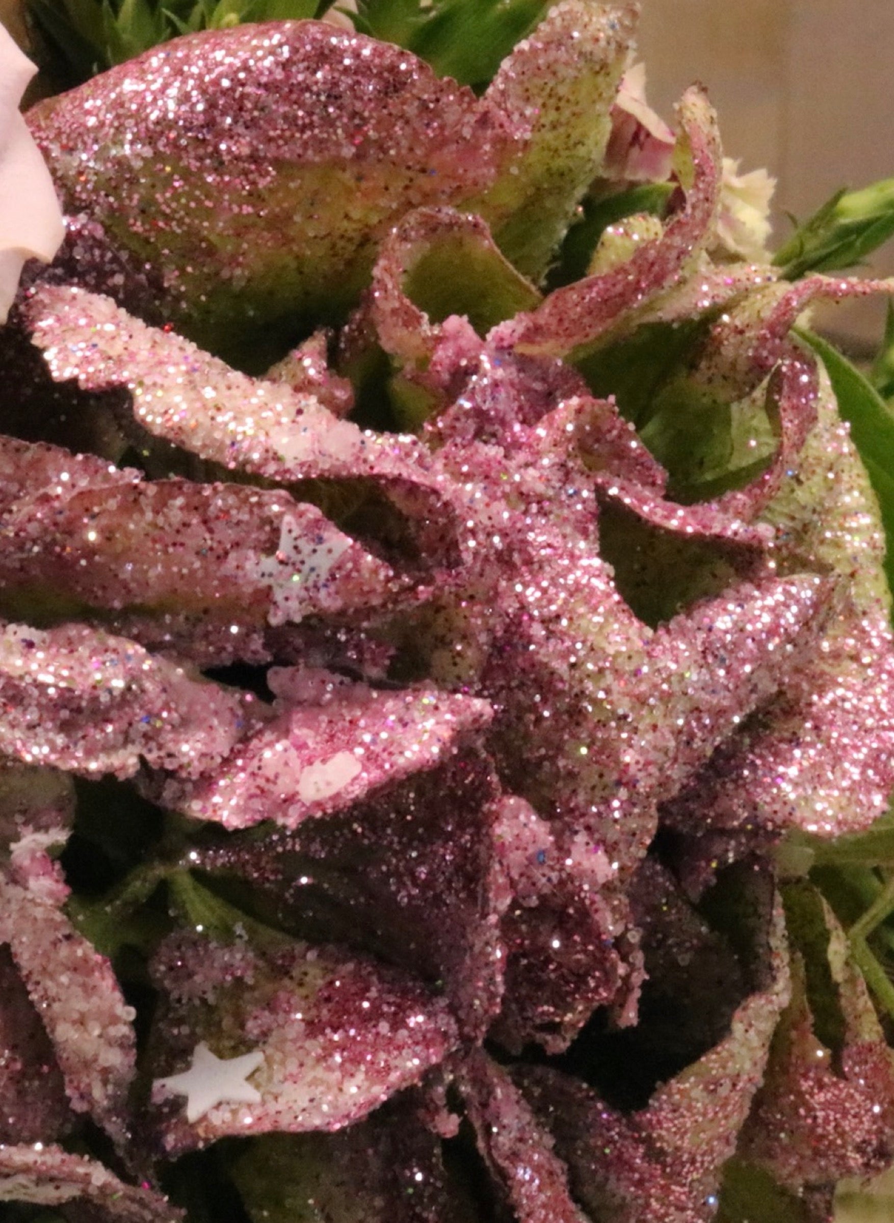 Hortensia Hydrangea, gedroogd gedompeld in glitters en sneeuw roze/groen, per stuk