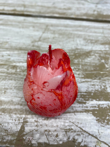Tulpen kaarsje, per stuk, H4,5cm, rood/oranje/wit gemarmerd
