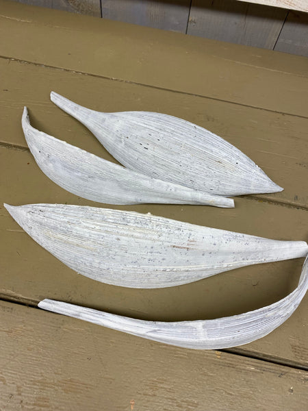 Coco Galara bladeren, wit, L40cm, per 4 stuks