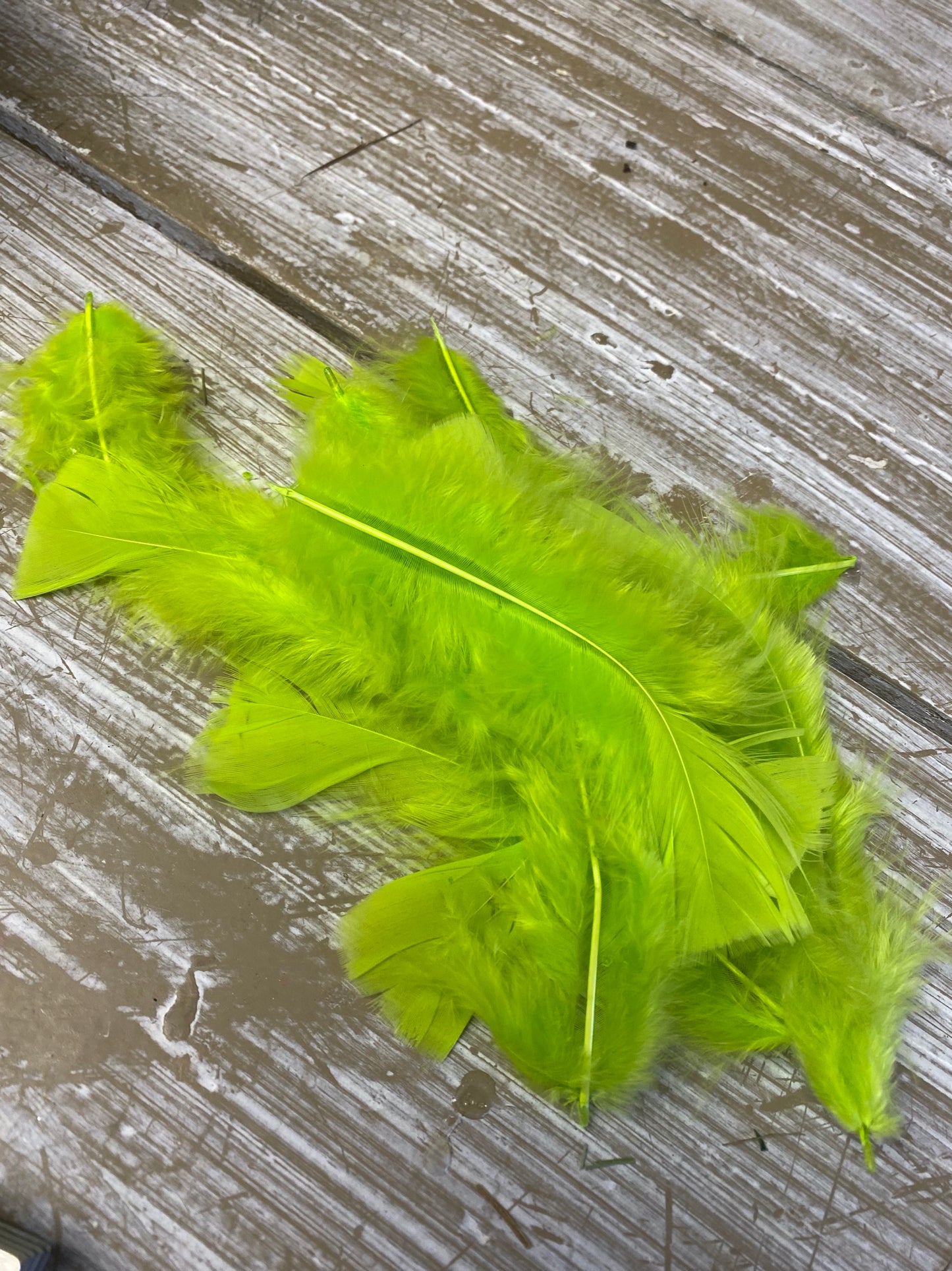 Veer, veren, groen, 1 gram