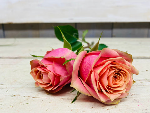 Roos, Wild look, oranje/rose, per stuk