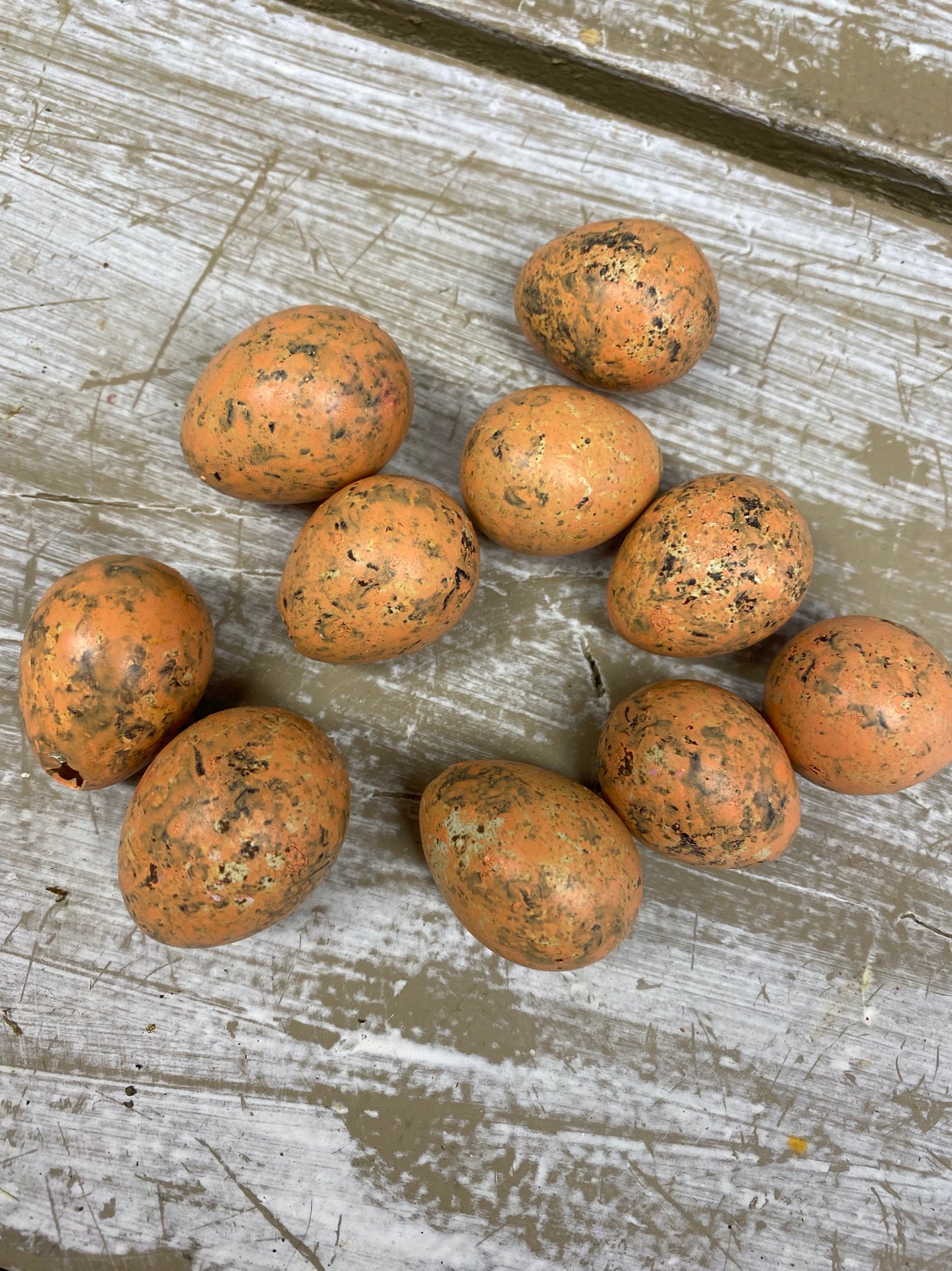 kwarteleitjes, oranje, per 10stuks