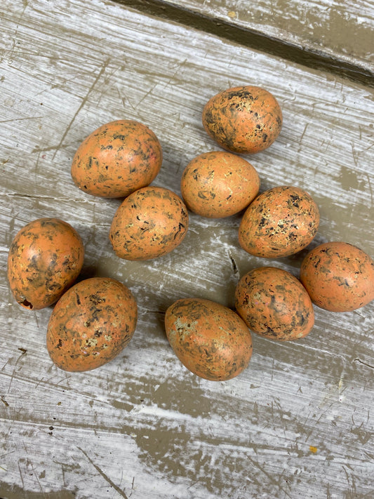 kwarteleitjes, oranje, per 10stuks