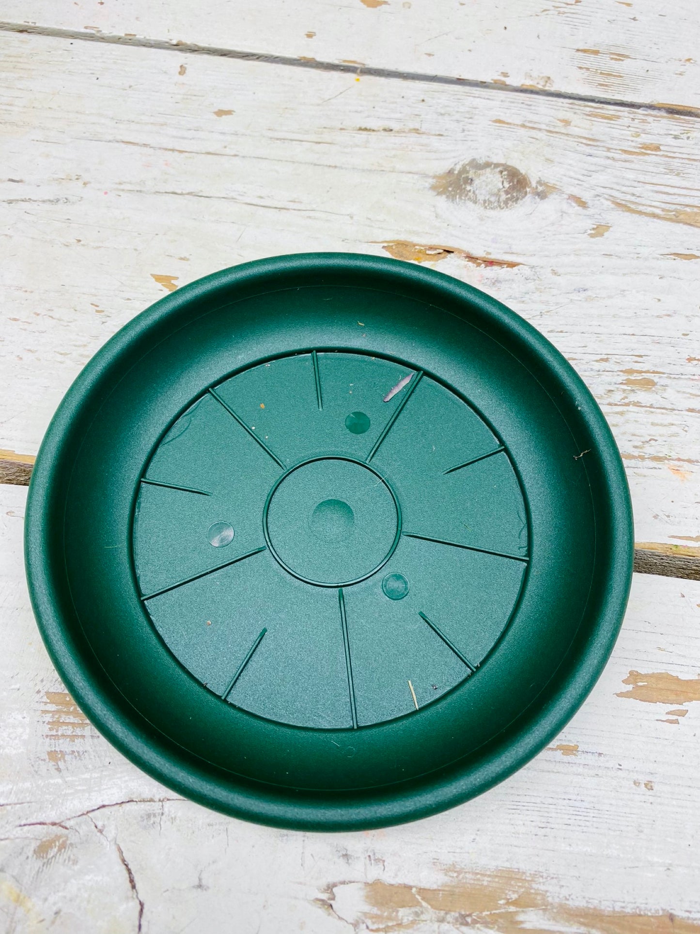 water schotel / schaal, rond, groen, D16cm,  per stuk