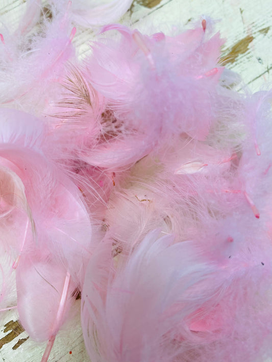 Veer, veren, roze, 1 gram