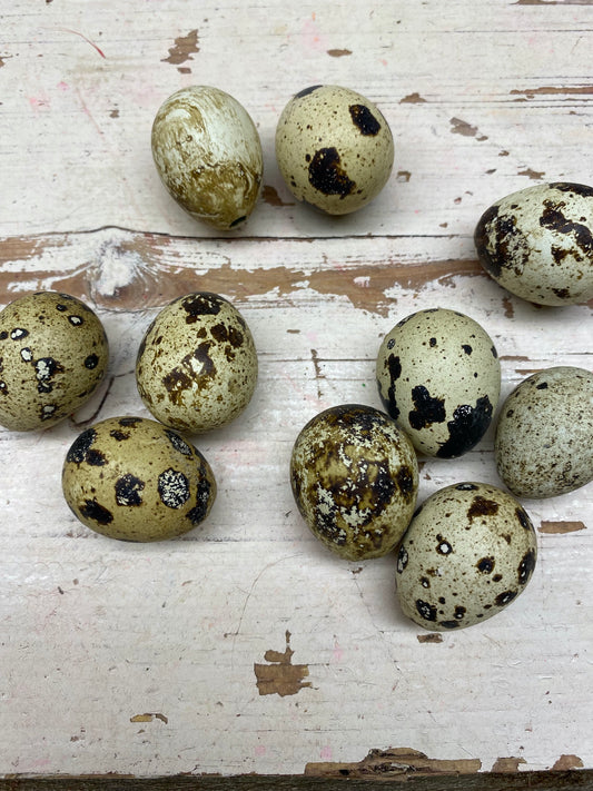 kwartel schaal eitjes, naturel, per 10stuks