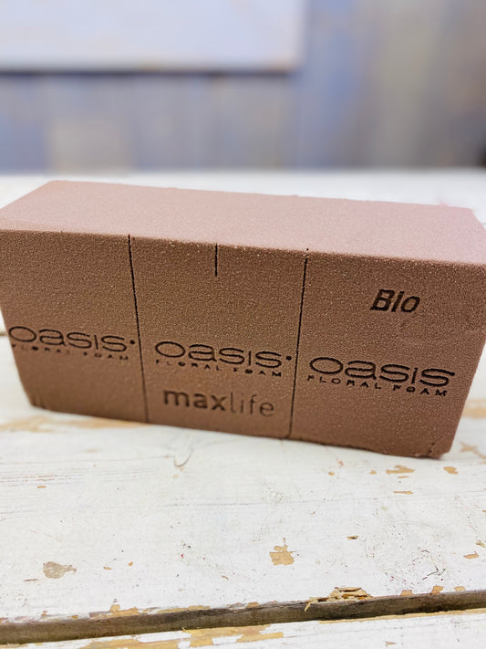 Oasis Steekschuim blok bio