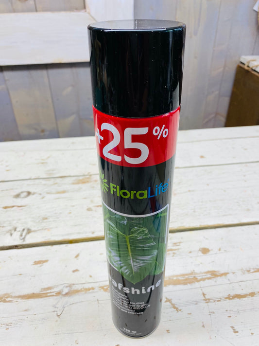 Blad glans, Floralife, grote bus 750 ml, per stuk