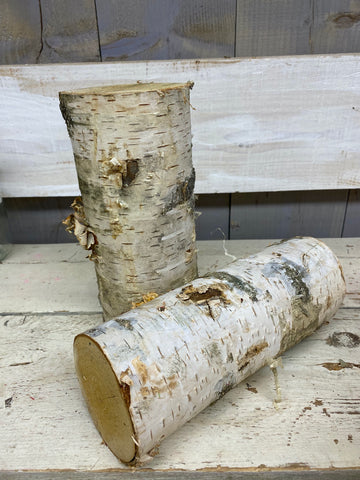 Hout blok berken, H25cm, D10cm, per 2 stuks